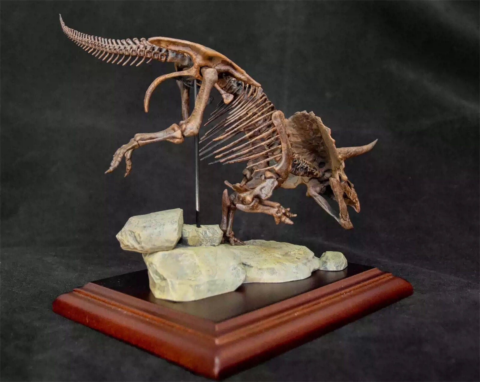 VWUVWU 1/35 Triceratops Skeleton Model