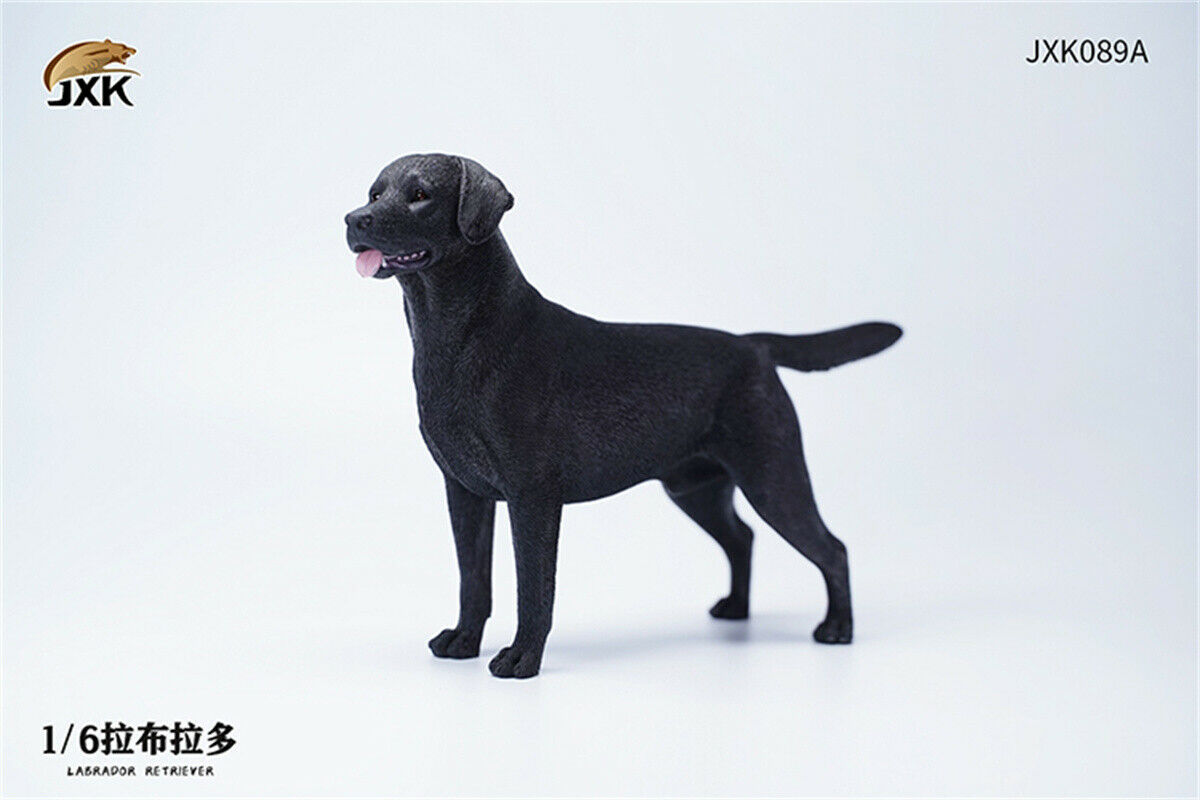 JXK 1/6 Labrador Retriever Dog Model