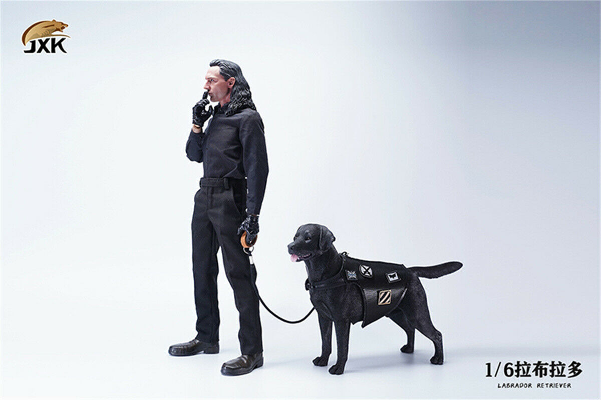 JXK 1/6 Labrador Retriever Dog Model