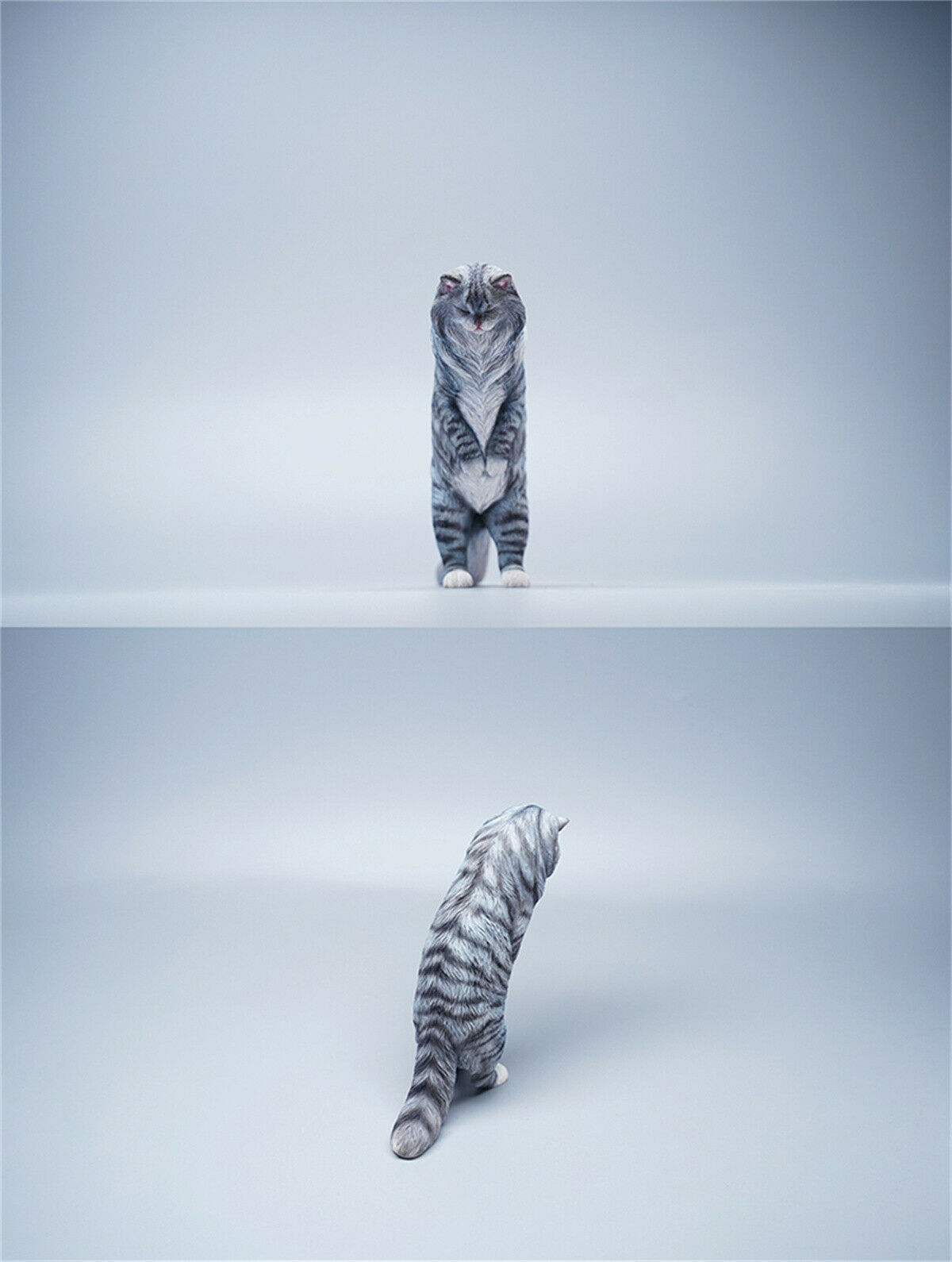 JXK 1/6 Maine Coon Model