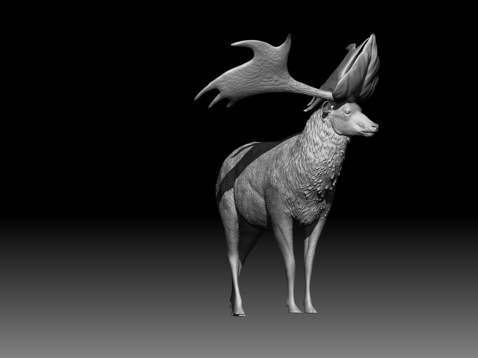 Sinomegaceros pachyosteus Model