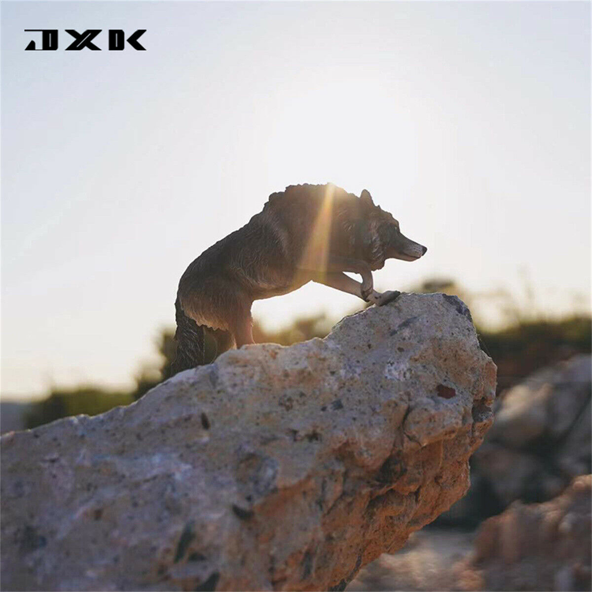 JXK 1/6 North American Gray Wolf Model