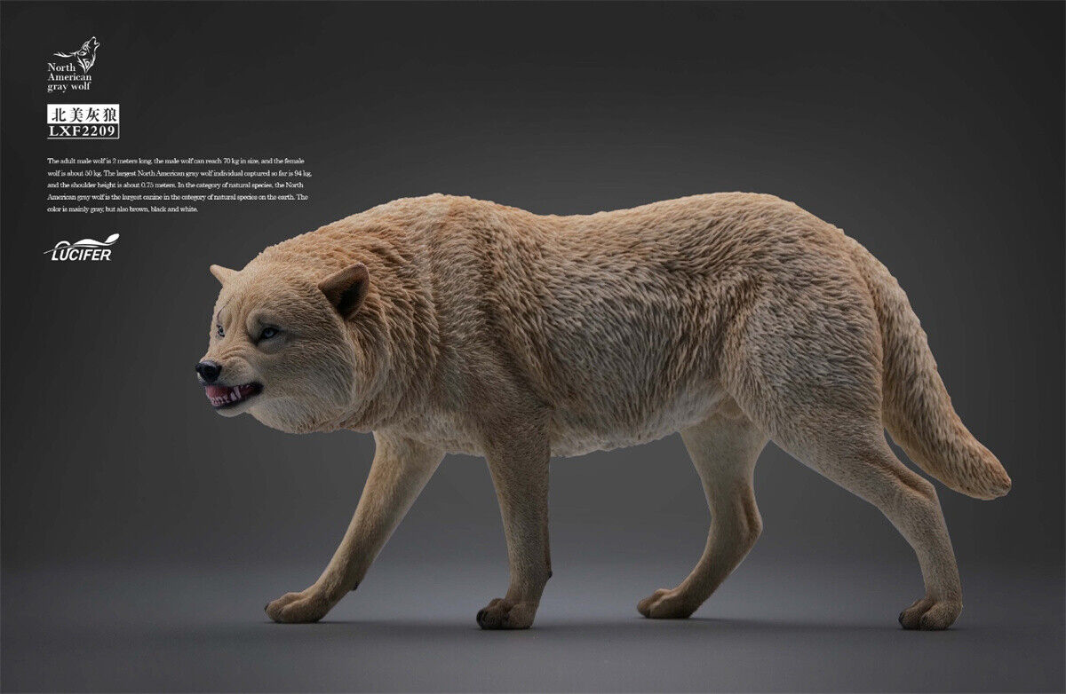 JXK&Lucifer 1/6 North American Gray Wolf Model