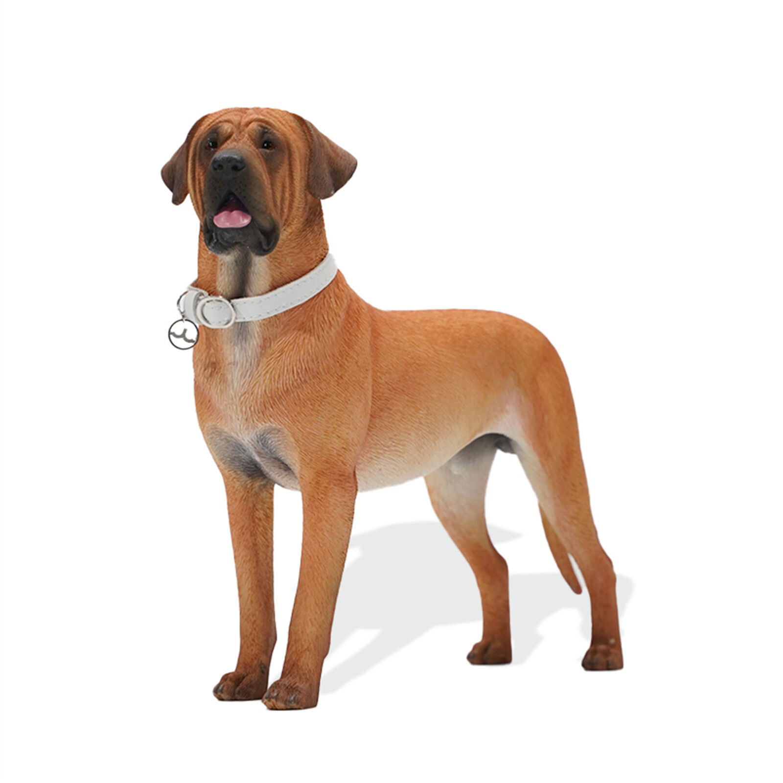 JXK 1/6 Tosa Inu Model