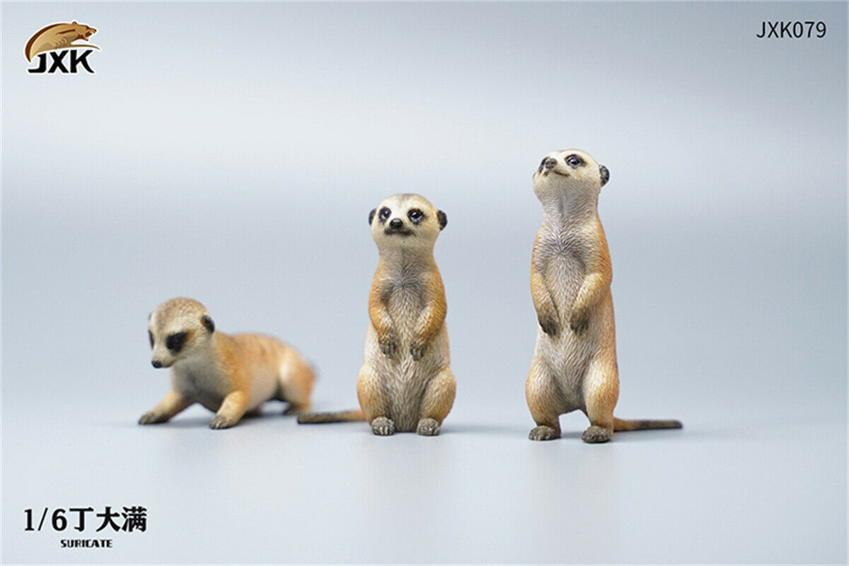 JXK 1/6 Lion's Buddy Model