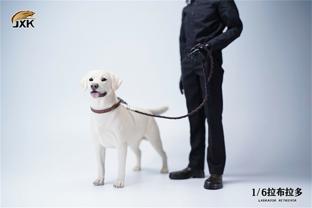 JXK 1/6 Labrador Retriever Dog Model