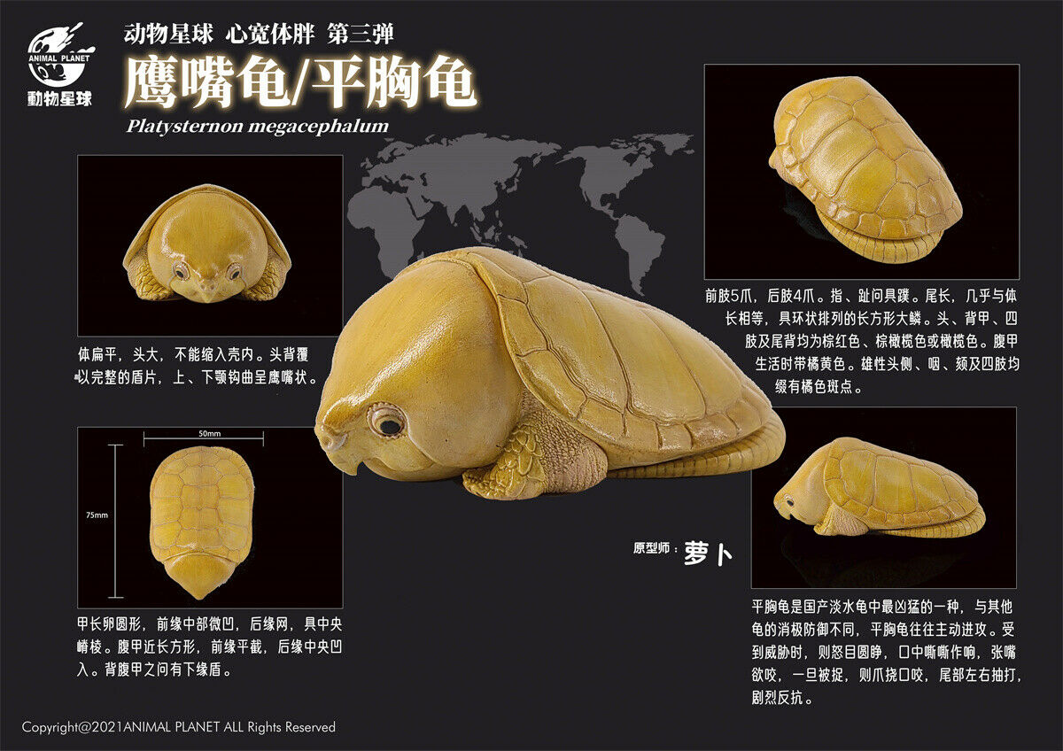 Animal Planet A Series of Laugh and Grow Fat 03 Model