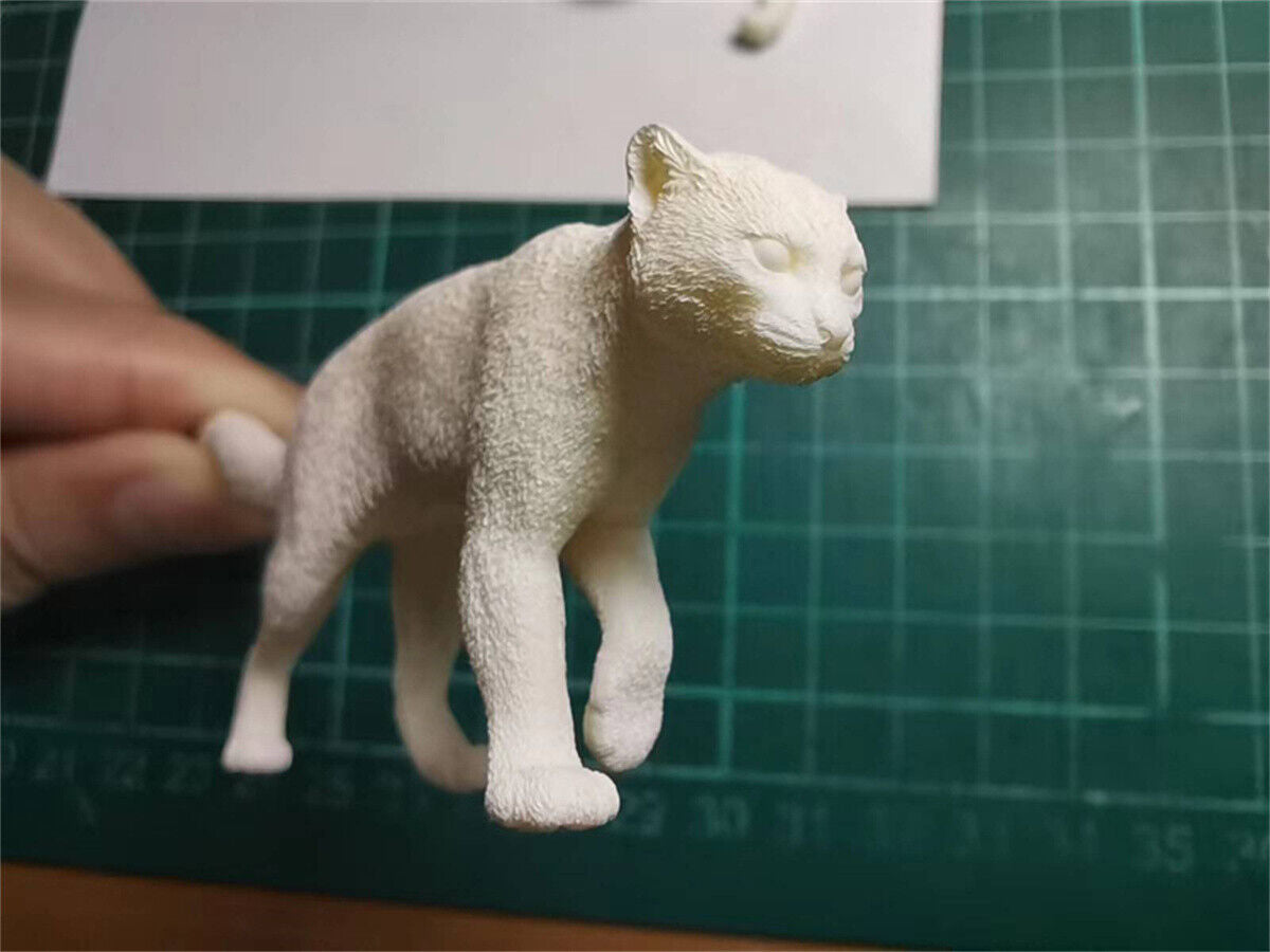 Woo-Model Studio 1/10 Nepalese Marbled Cat Model