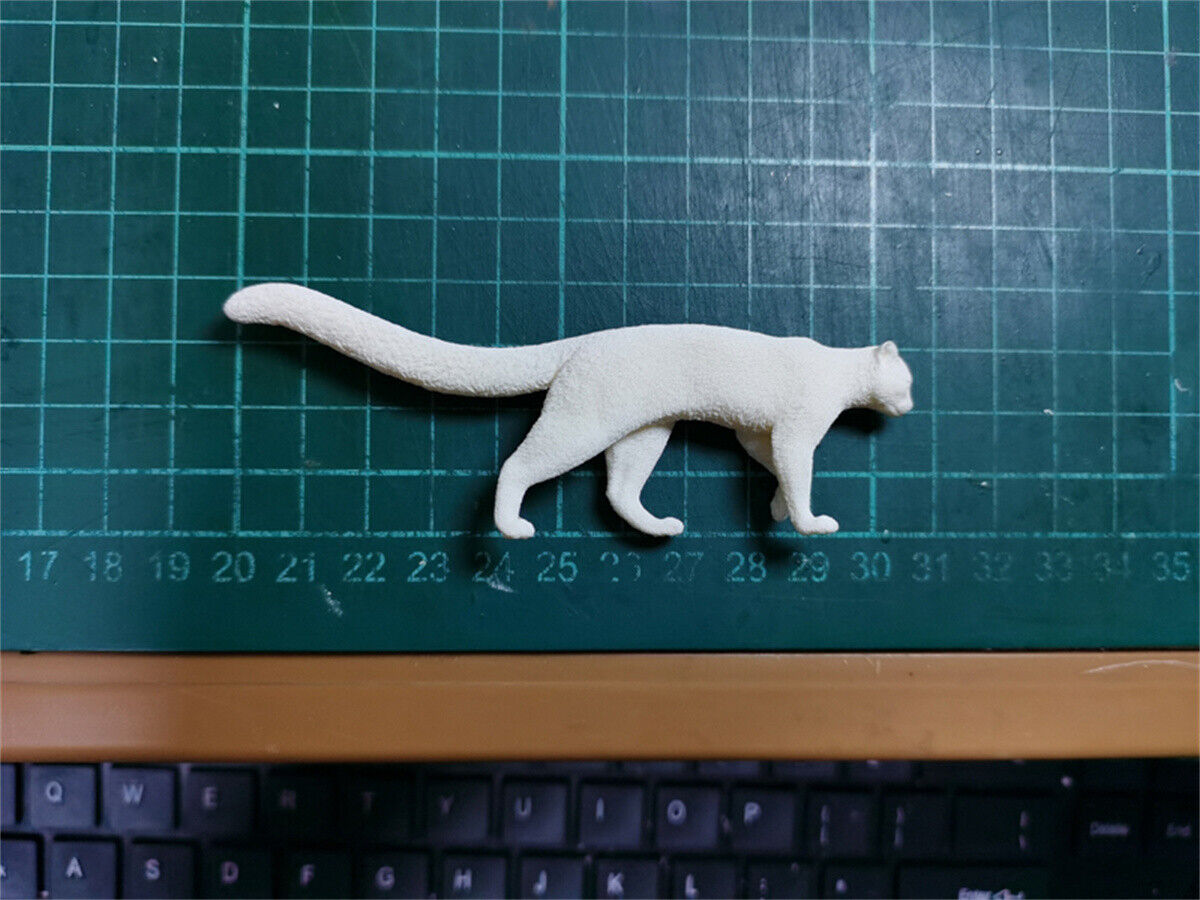 Woo-Model Studio 1/10 Nepalese Marbled Cat Model