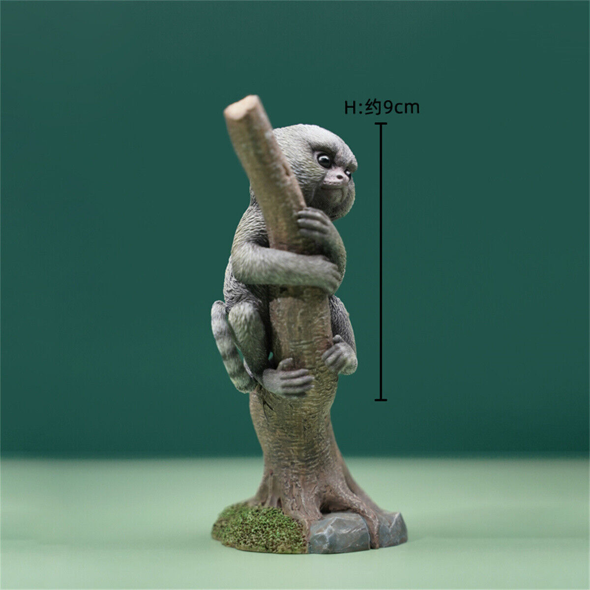 JXK 1/1 Callithrix Jacchus Model