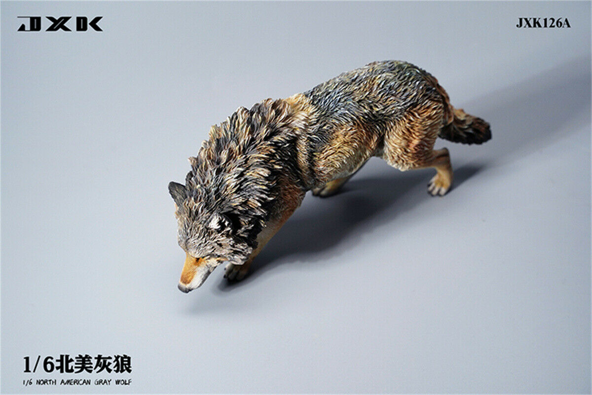 JXK 1/6 North American Gray Wolf Model
