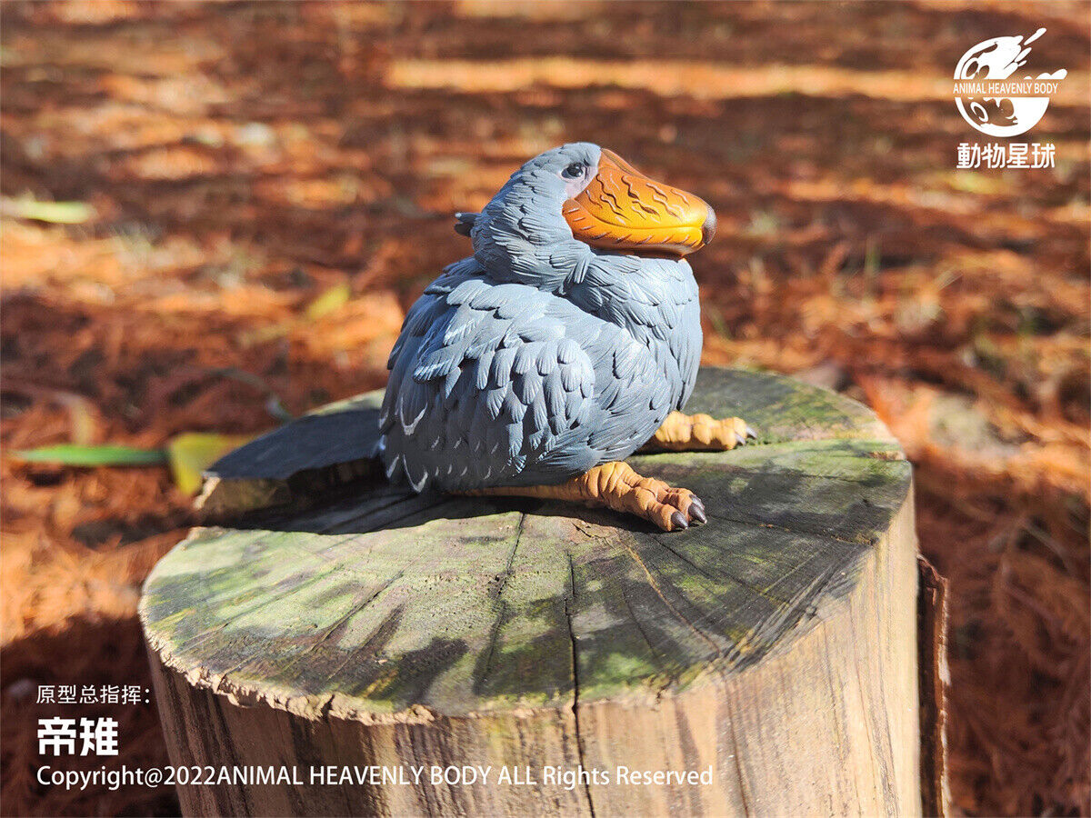 Animal Planet Birds 2.0 Blind Box Model