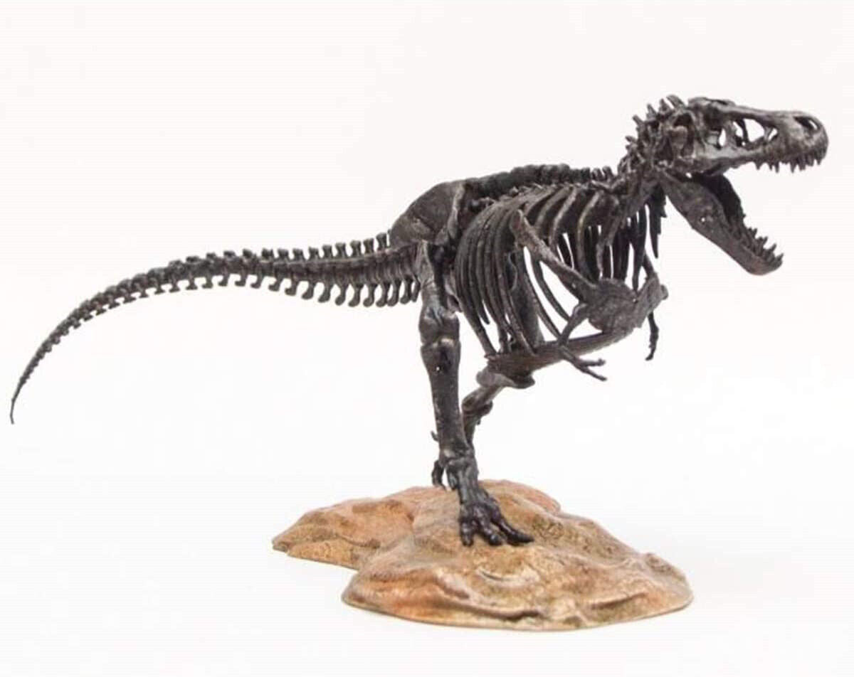 1/72 T-Rex Skeleton Model