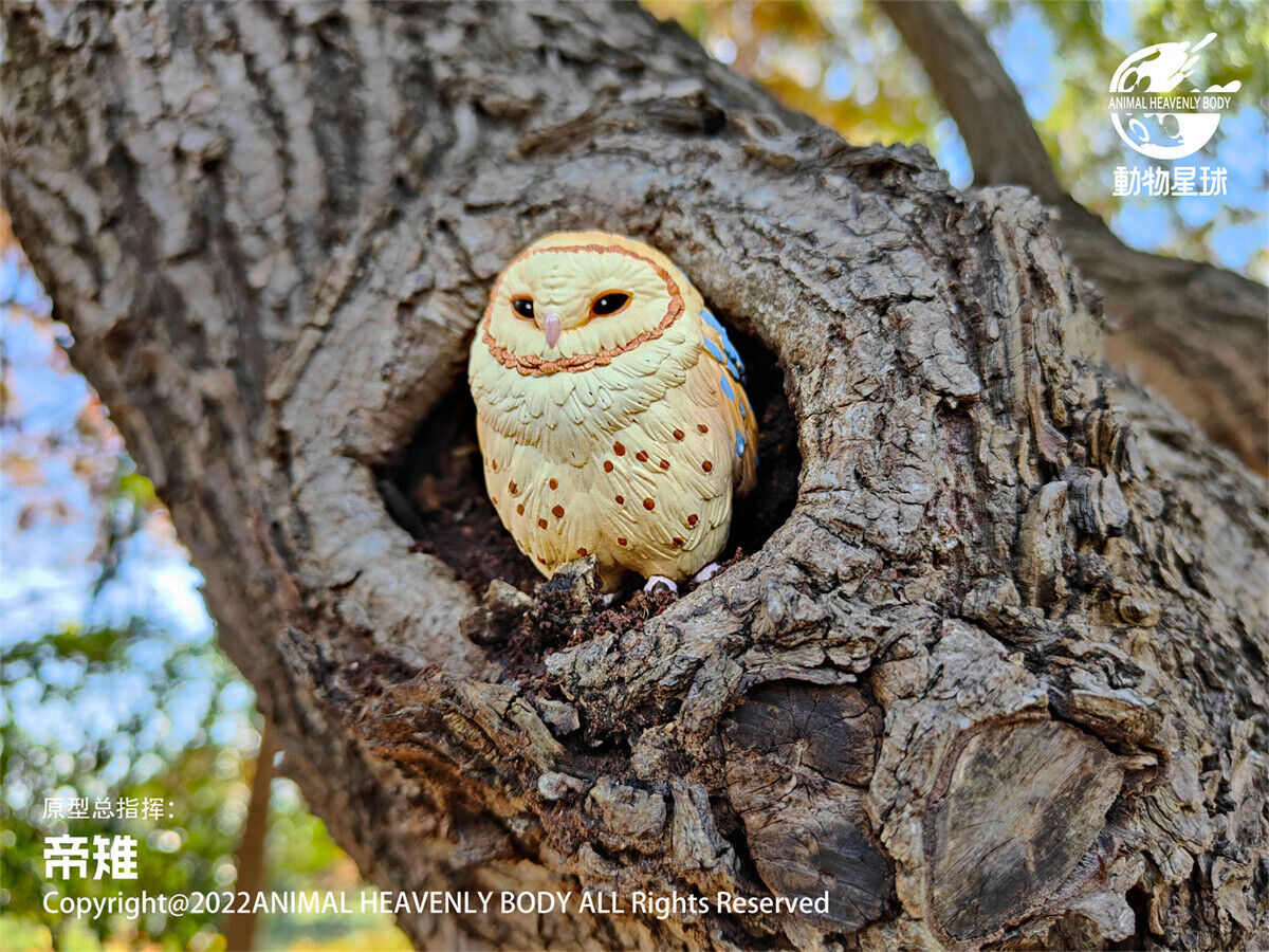 Animal Planet Birds 2.0 Blind Box Model
