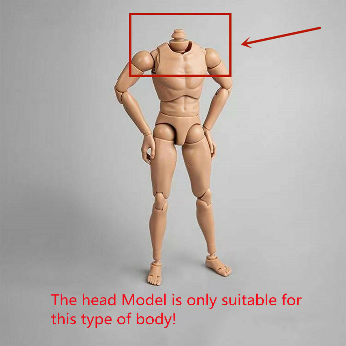 Mostoys 1/6 Rhinos Head Figure