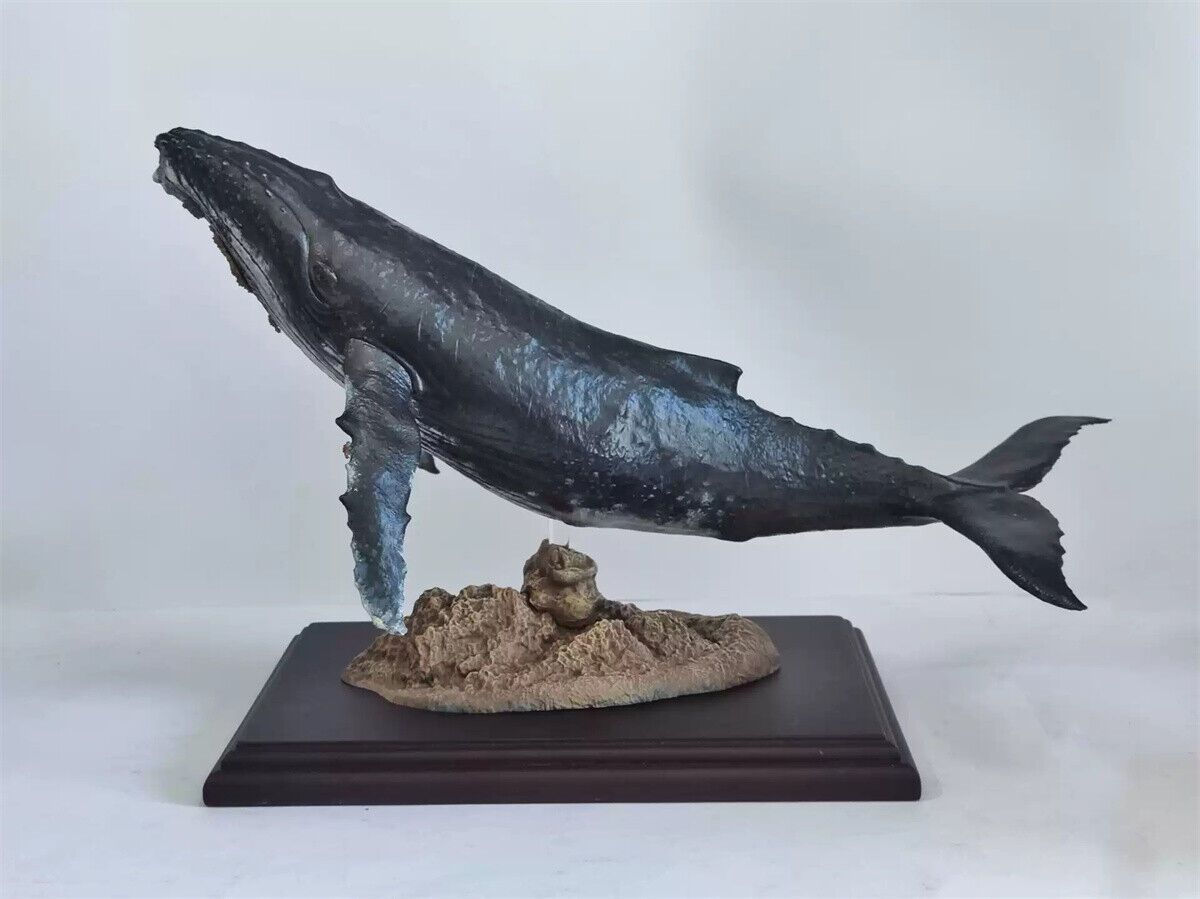 Xifu Studio 1/35 Humpback Whale Model