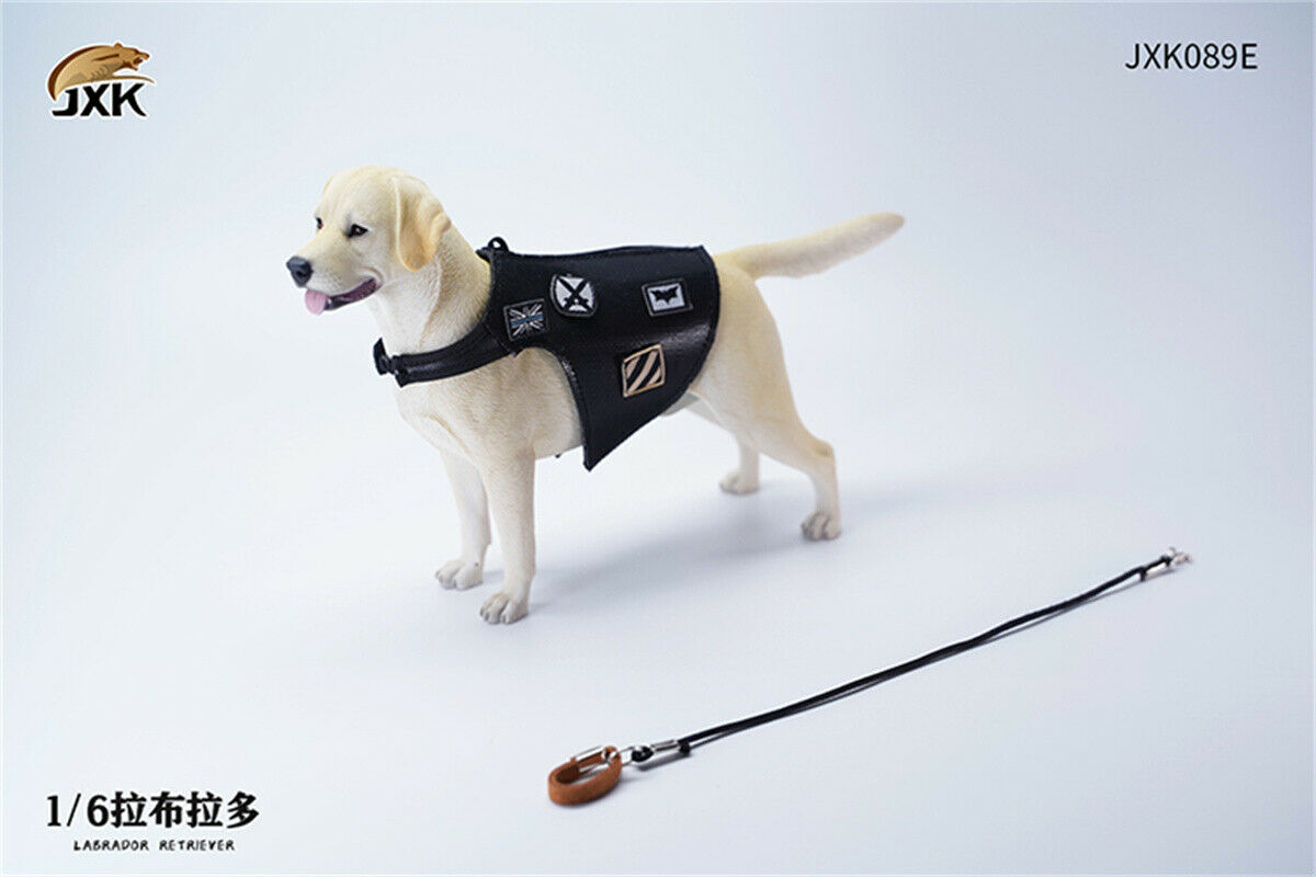 JXK 1/6 Labrador Retriever Dog Model