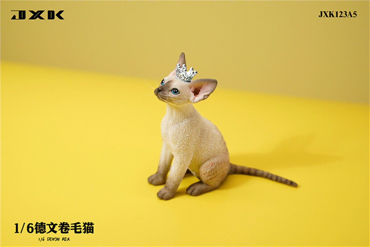 JXK 1/6 Devon Rex Model