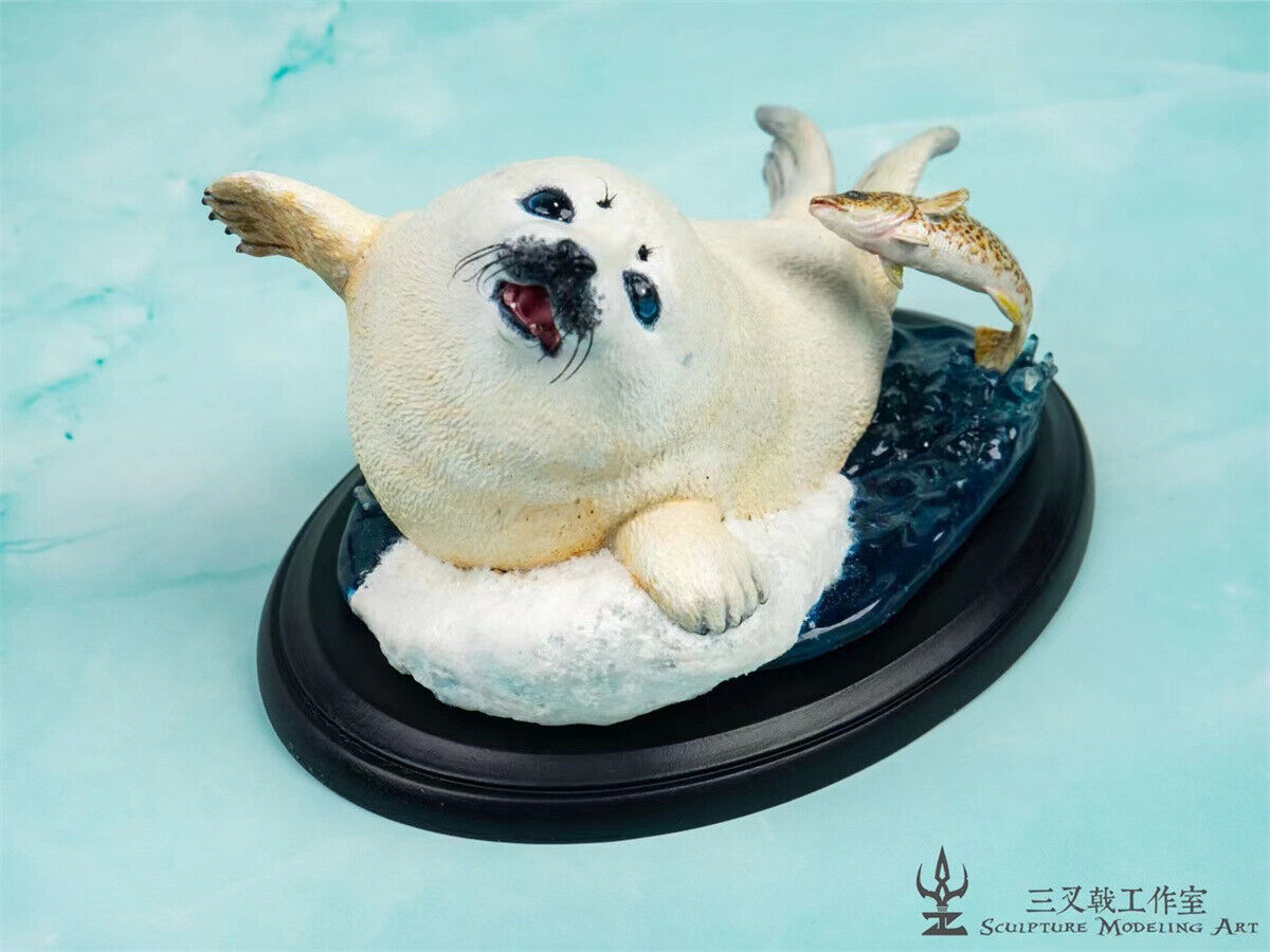 Seal Play With Gadus Model