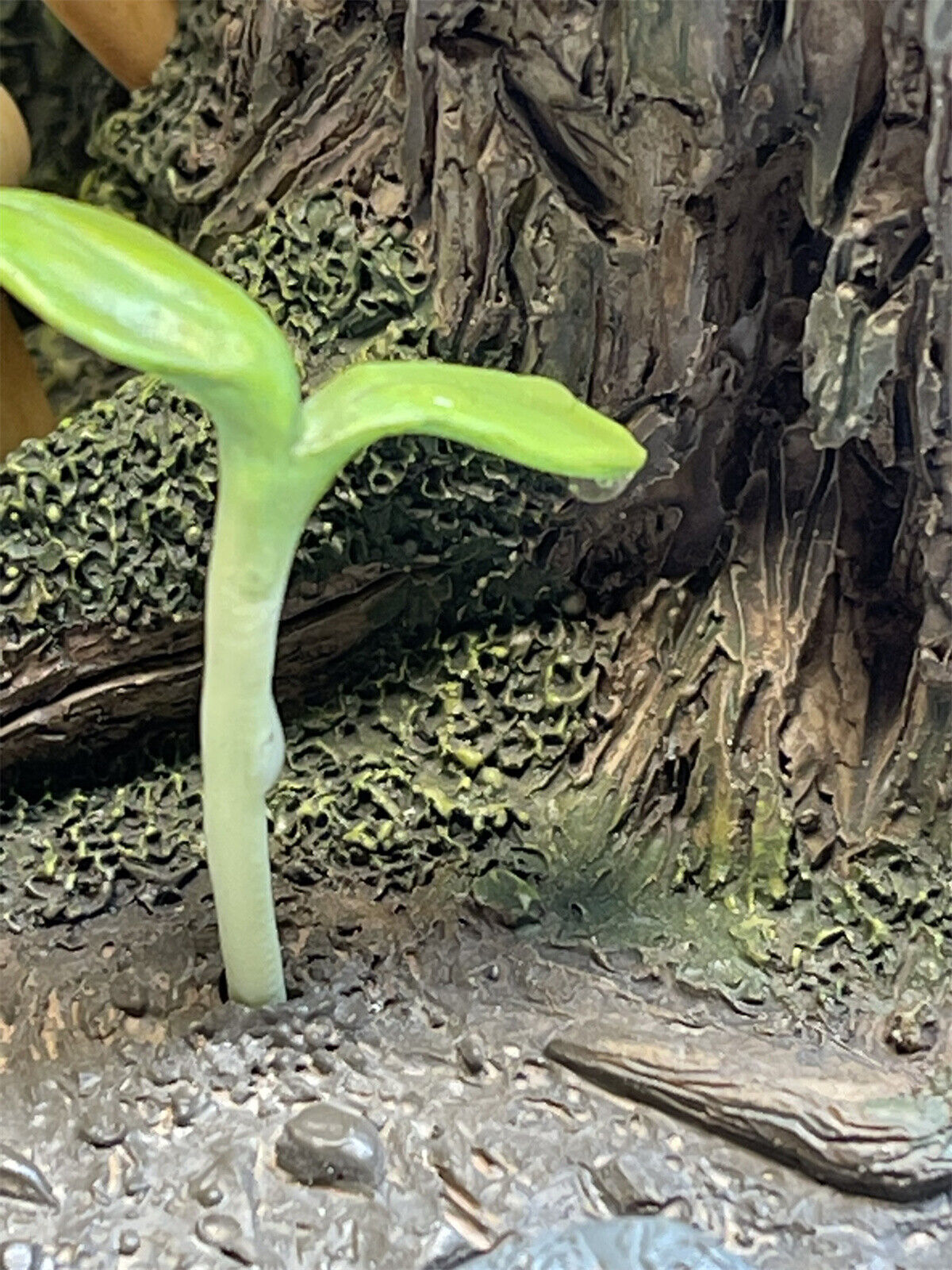 Whites Tree Frog Statue