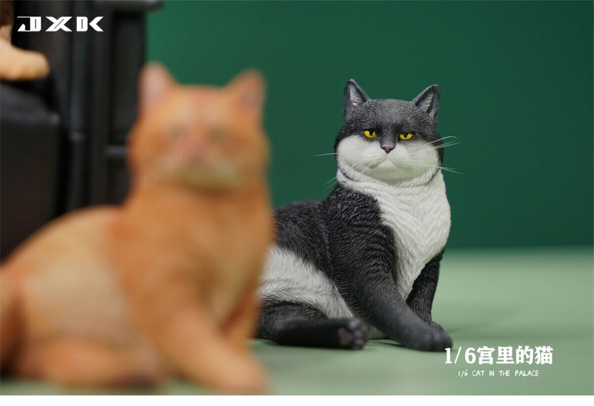 JXK 1/6 Cat In The Place Model