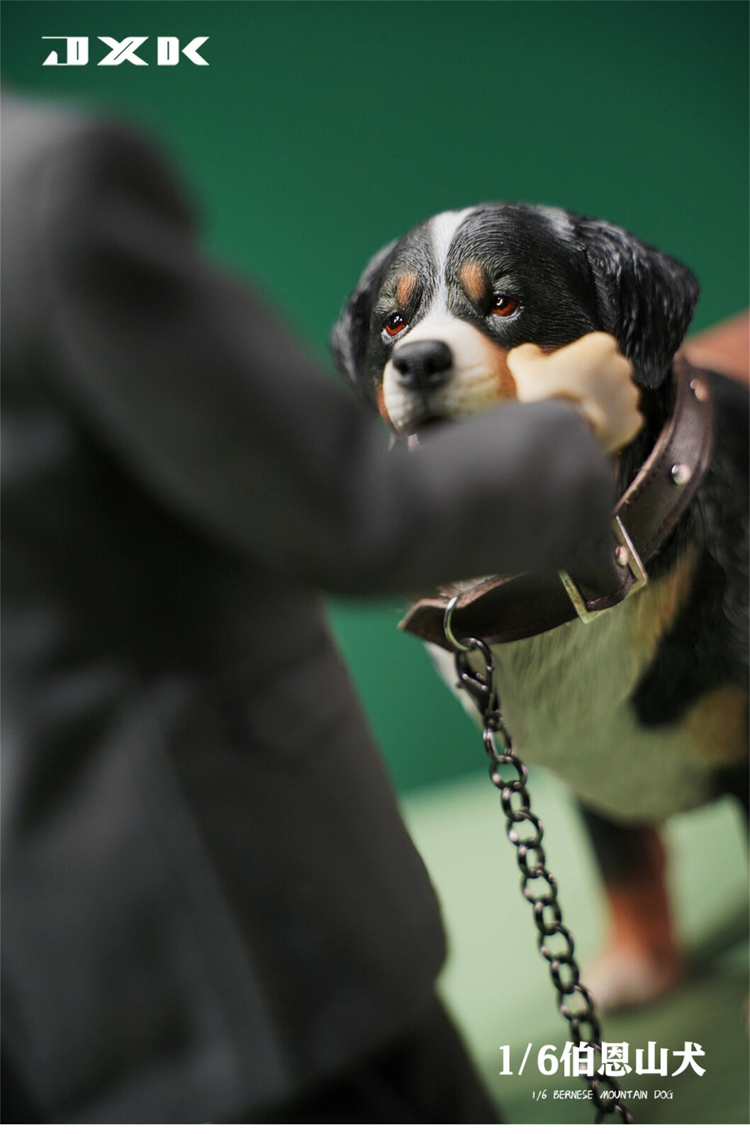 JXK 1/6 Bernese Mountain Dog Model