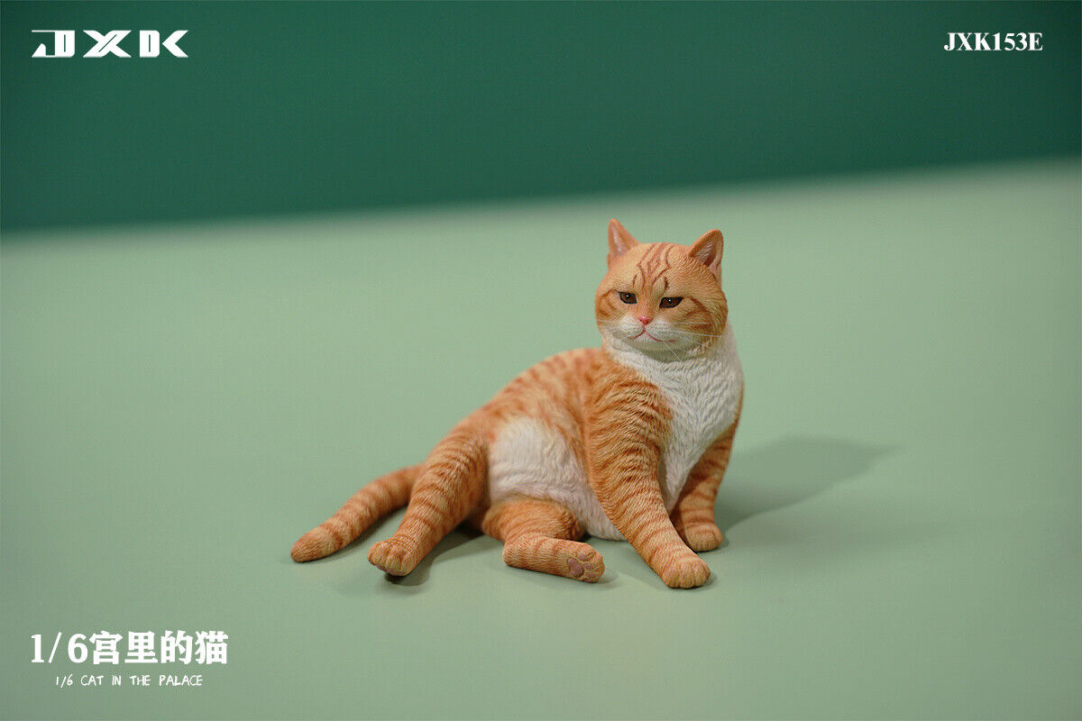 JXK 1/6 Cat In The Place Model