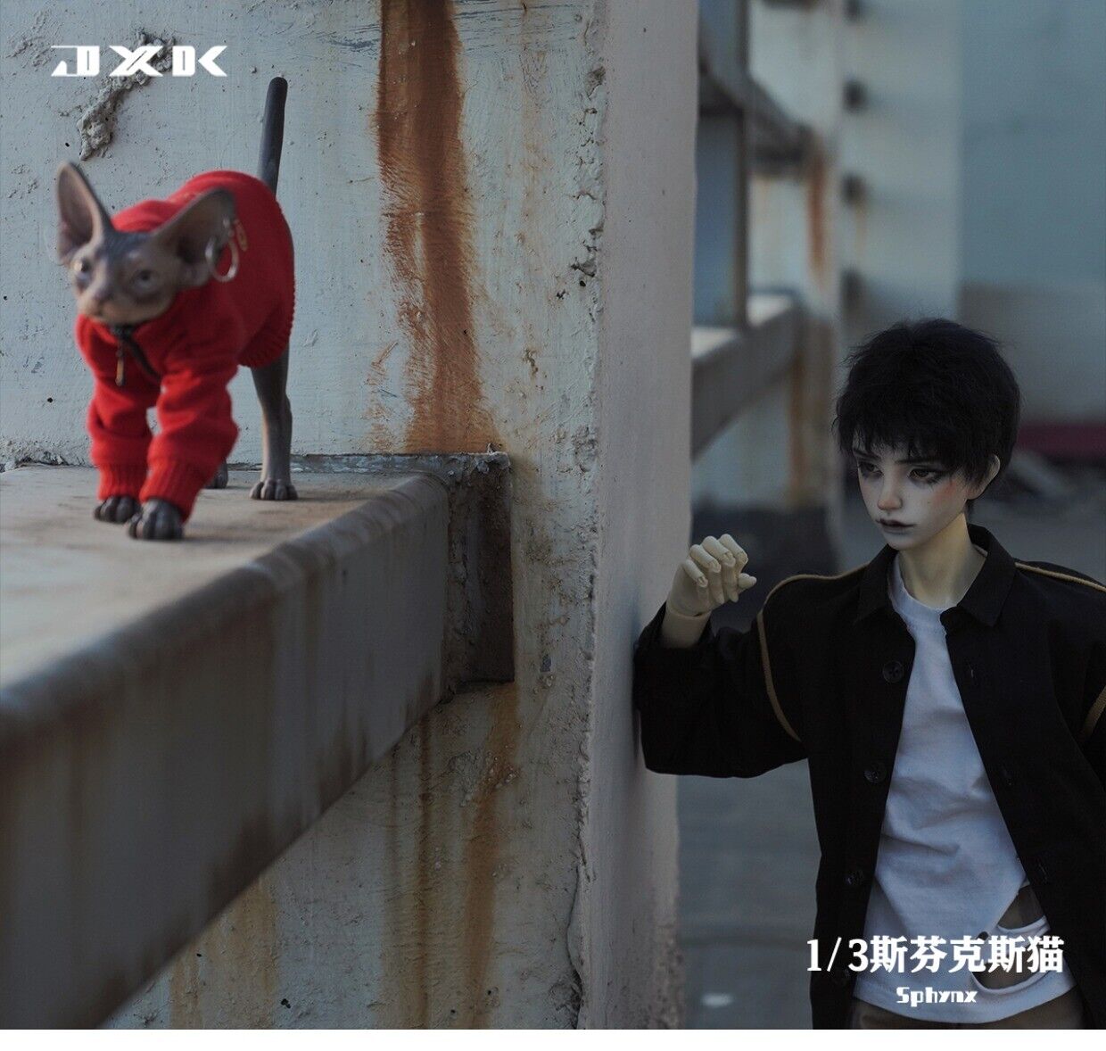 JXK 1/3 Canadian Hairless Model