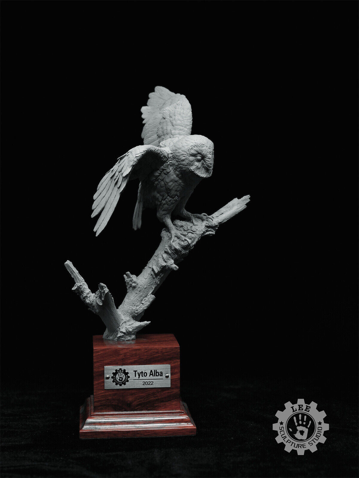 LEE 1/4 Tyto alba Model