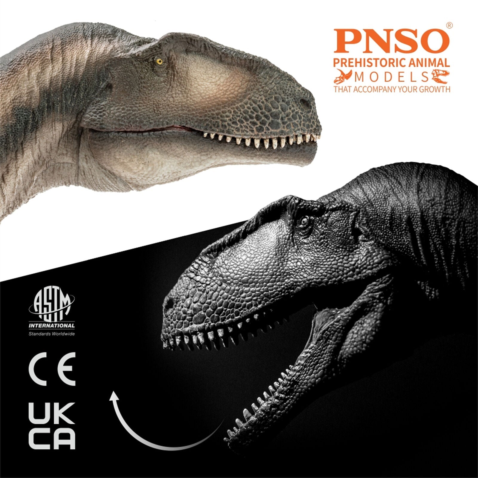 PNSO 68 Mapusaurus Mila Model