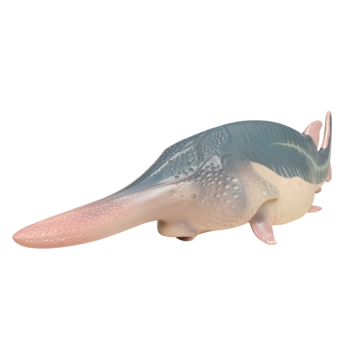 Animal Planet Trésors chinois 3 Modèle animal en voie de disparition