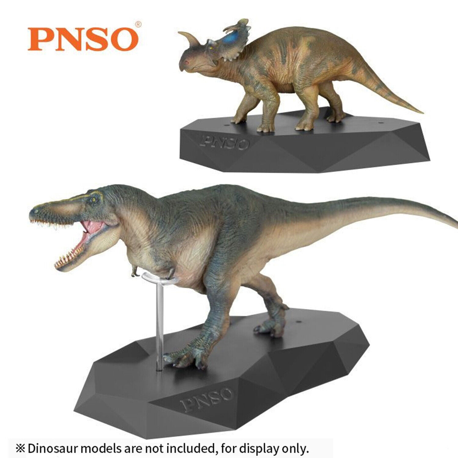 PNSO Transparent Auxiliary Support Base Model