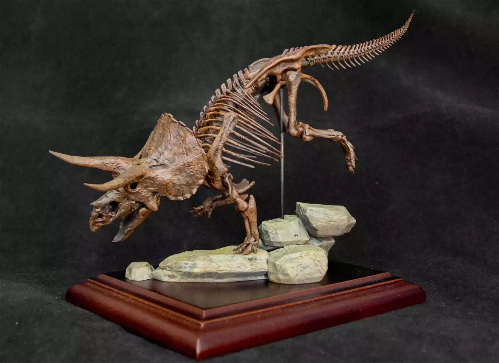 VWUVWU 1/35 Triceratops Skeleton Model