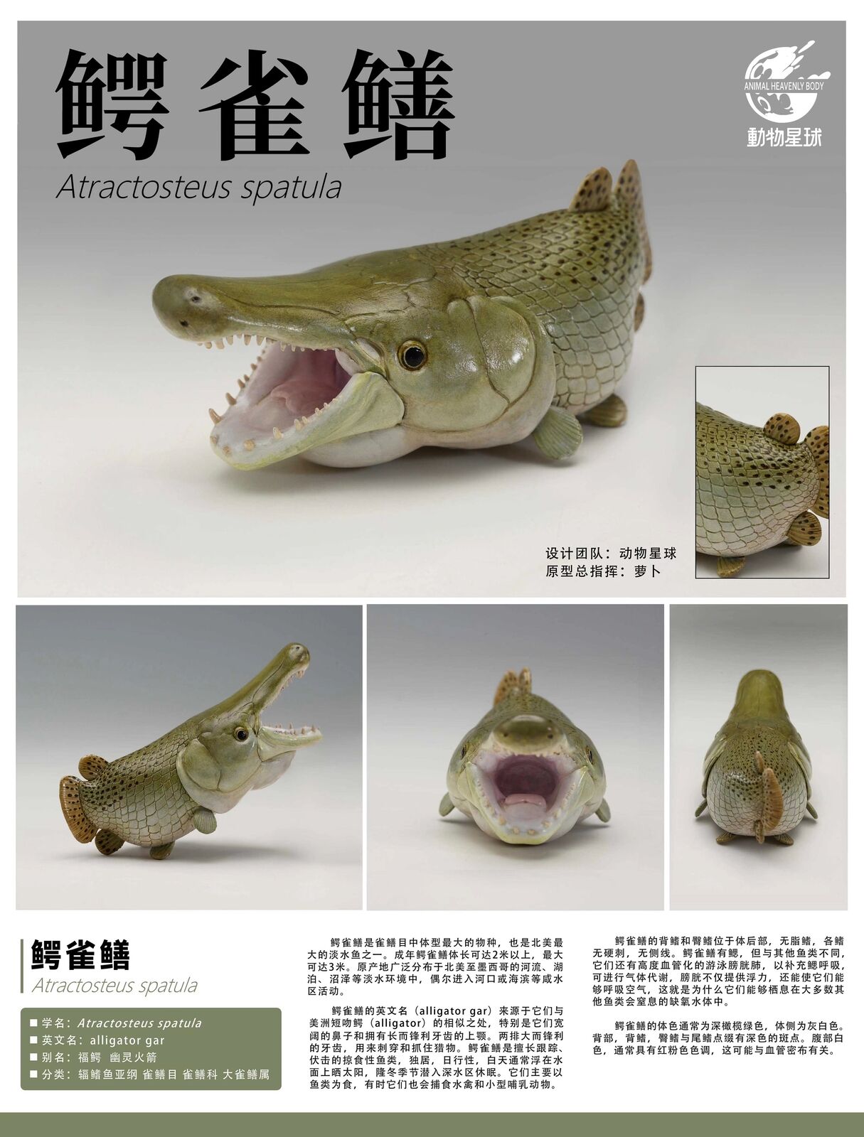 Animal Planet 11 Ancient Fish Blind Box Model