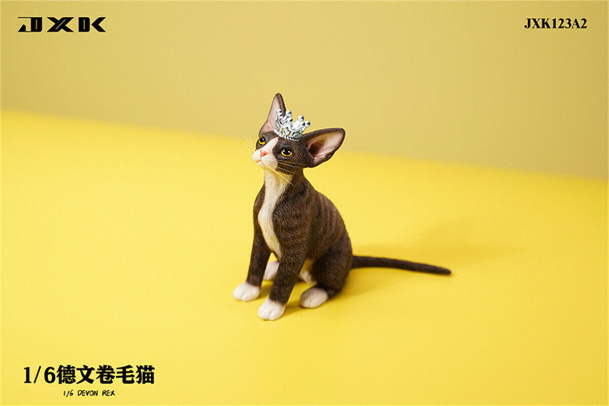 JXK 1/6 Devon Rex Model