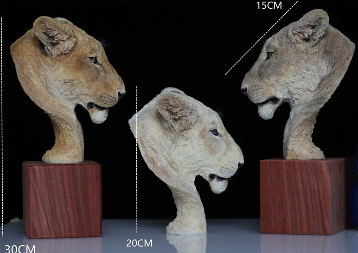 1/2 Lioness Head Statue