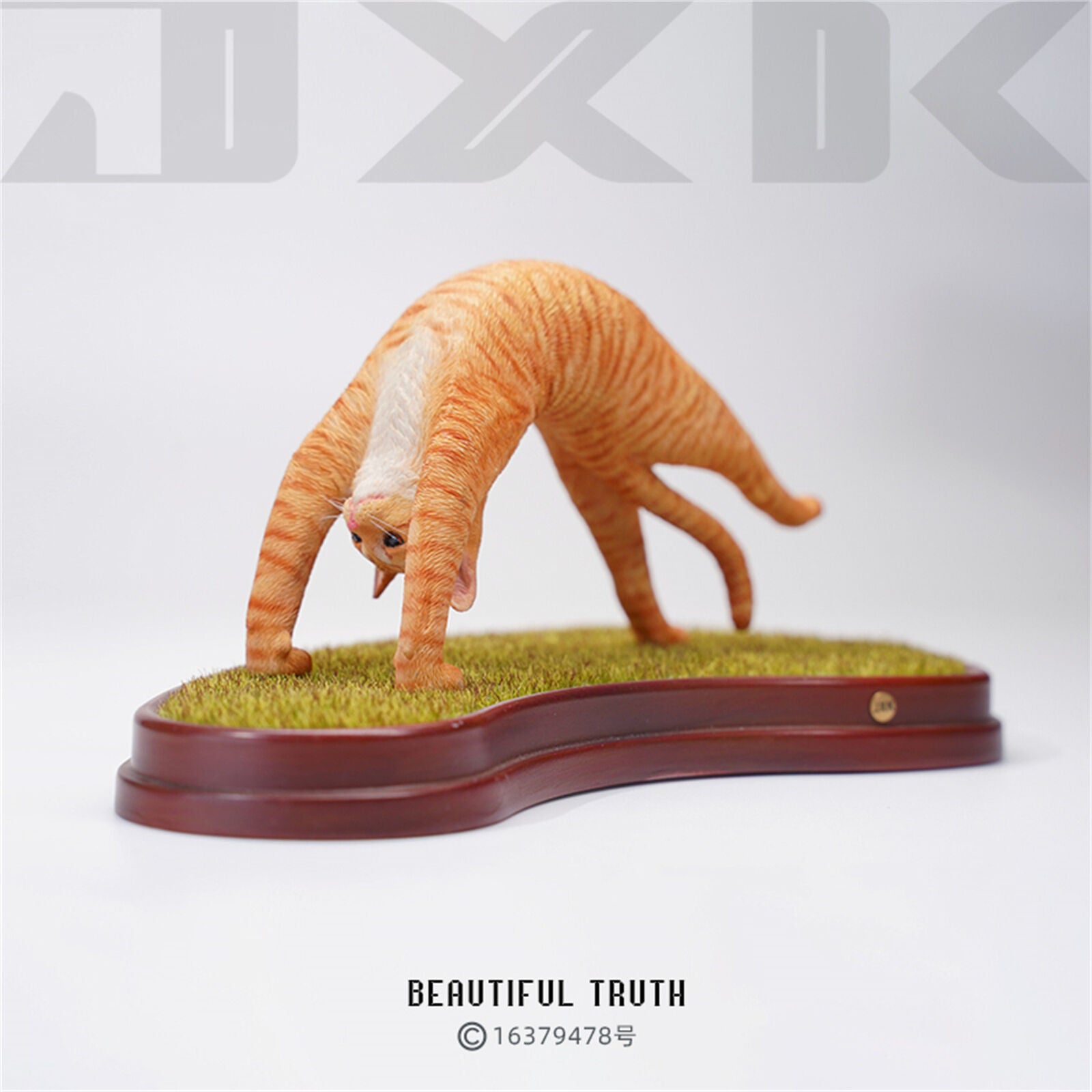 JXK 1/6 Yoga Cat 3.0 Model