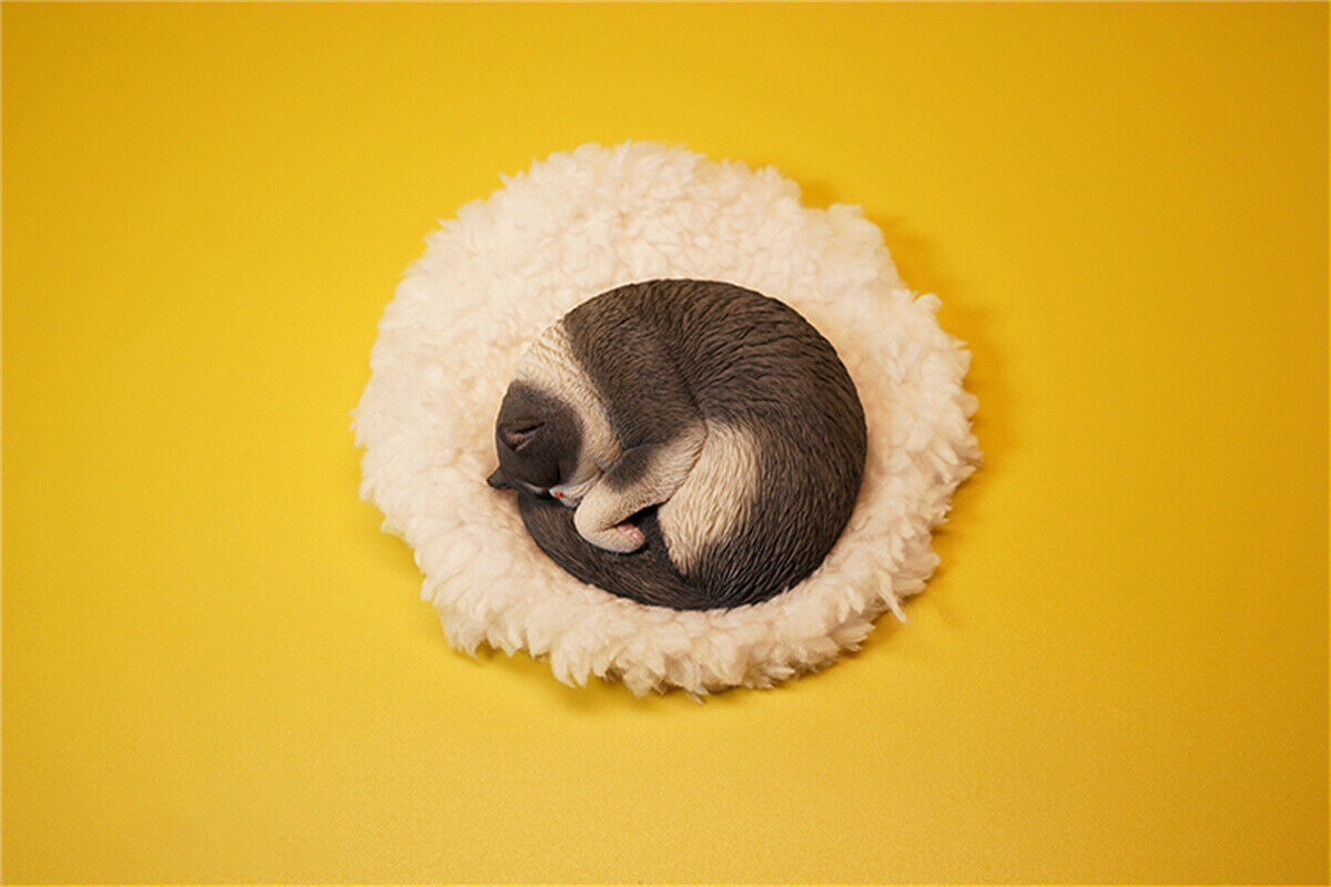 JXK 1/6 Lethargic Cat 3.0 Model