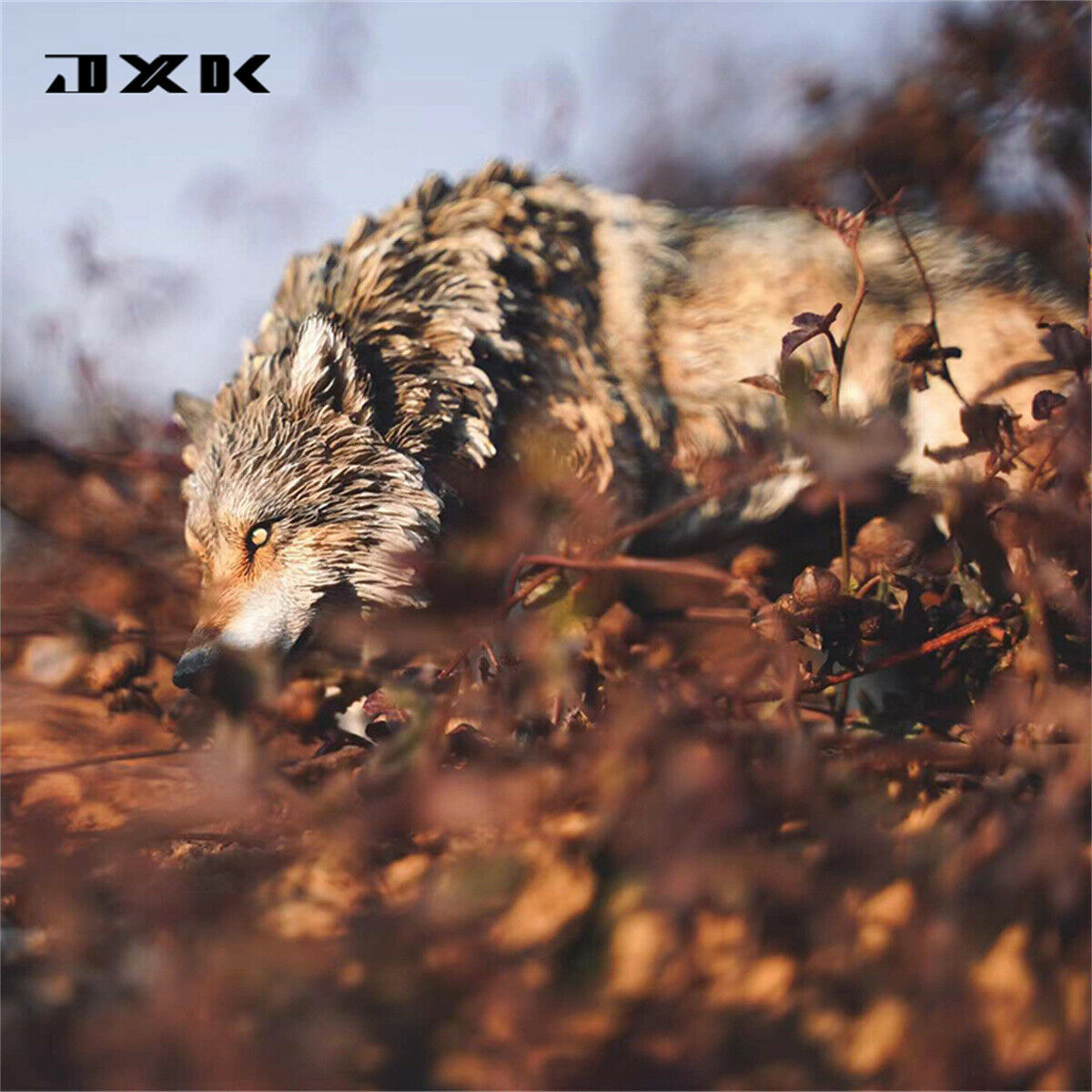 JXK 1/6 North American Gray Wolf Model