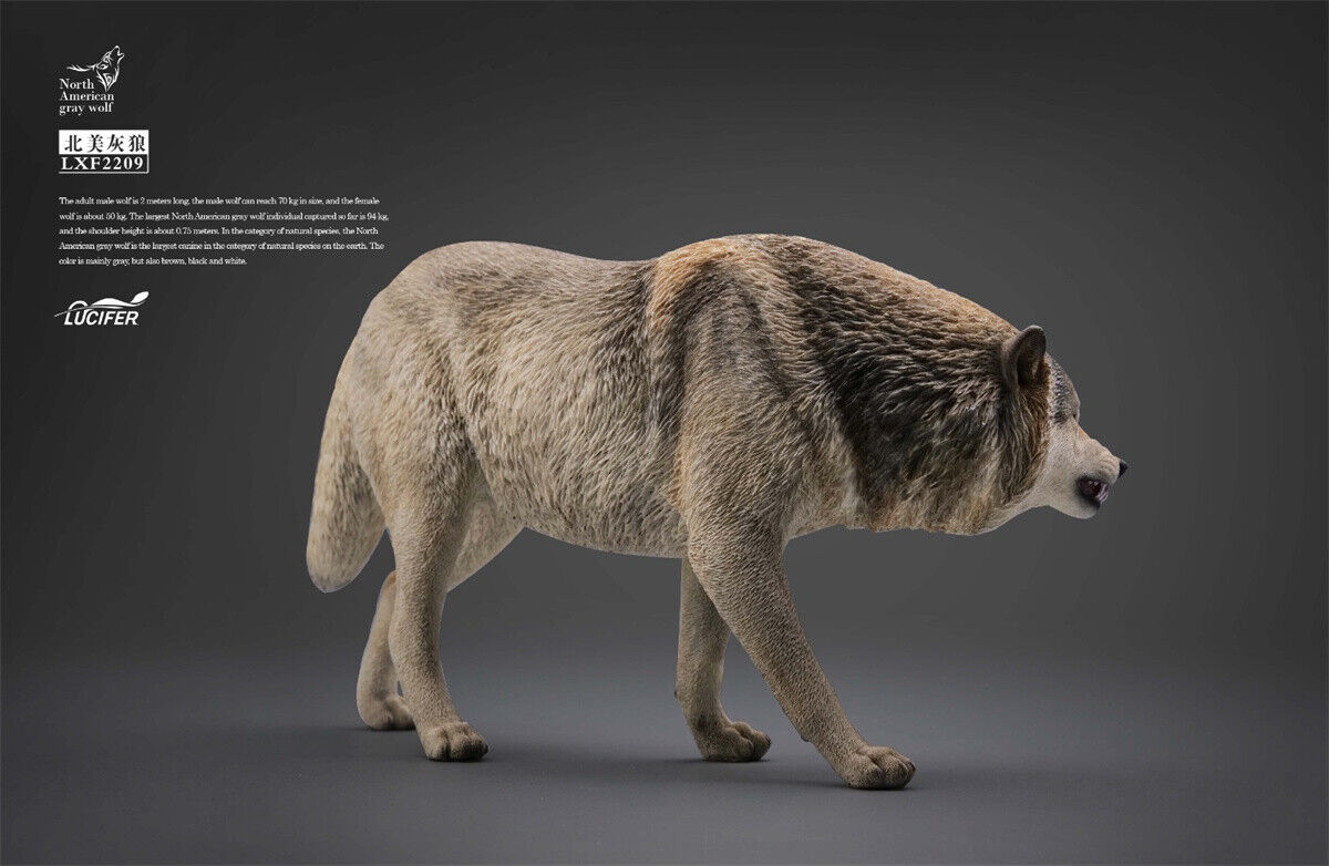 JXK&Lucifer 1/6 North American Gray Wolf Model