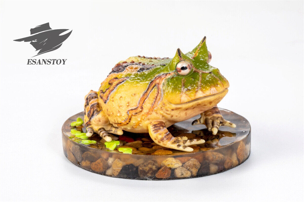 ESANSTOY Surinam Horned Frog Model