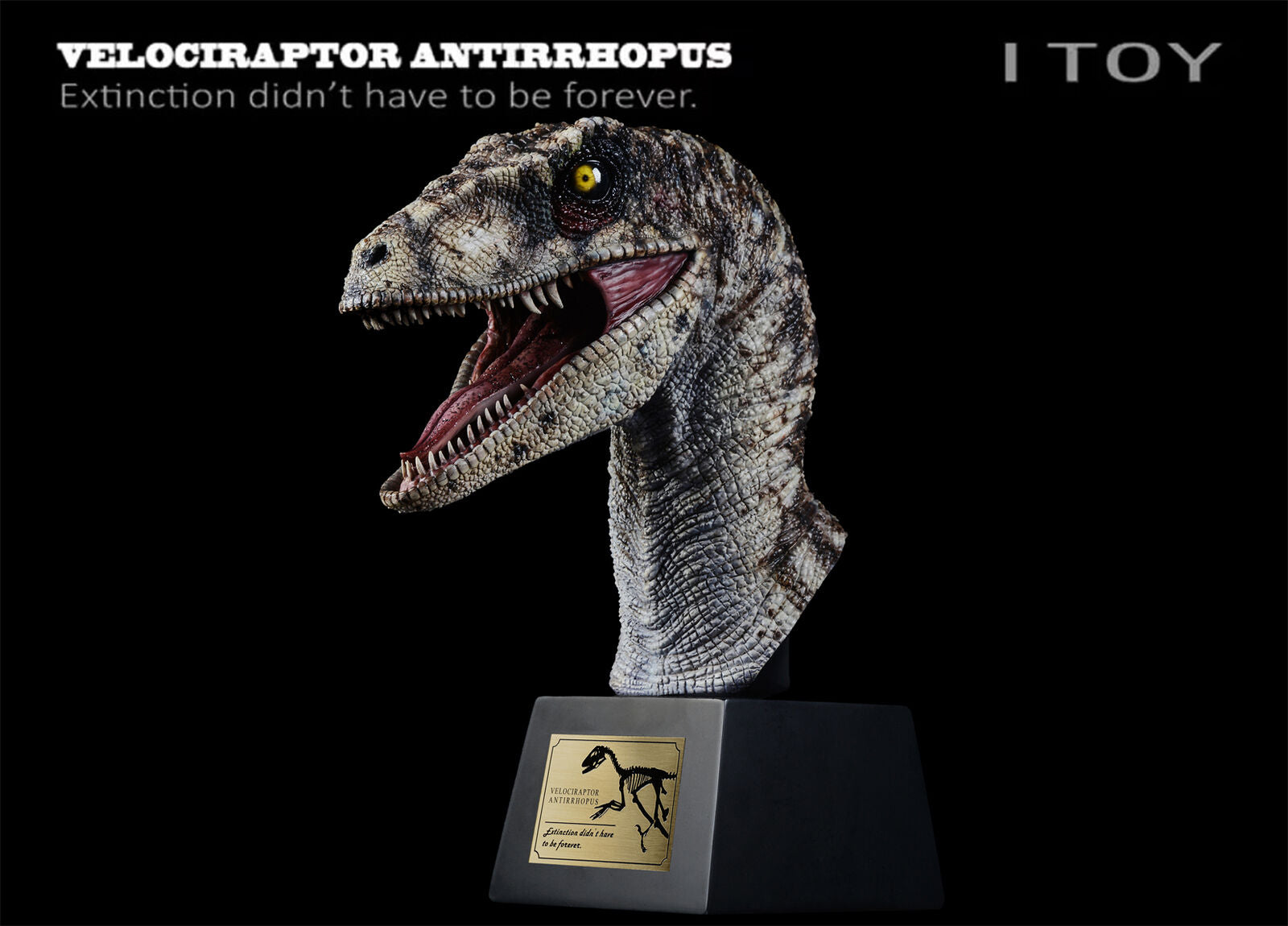 ITOY Velociraptor Antirrhopus Head Bust Model