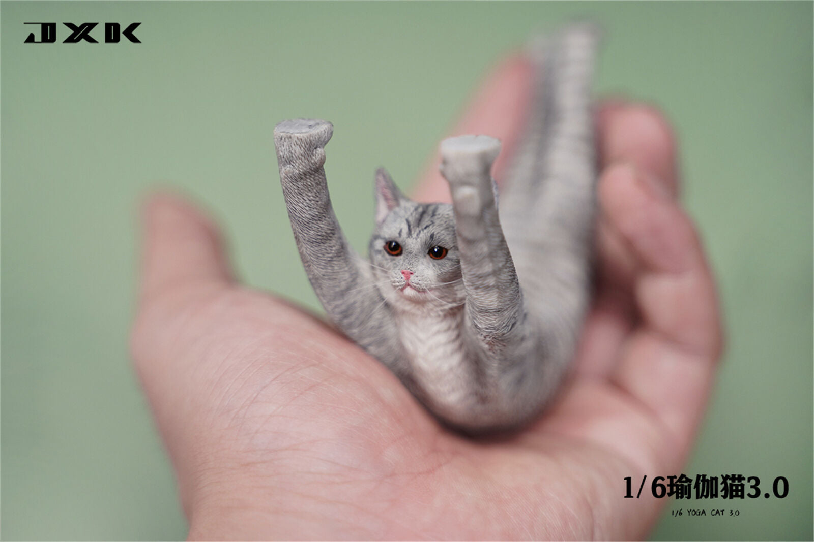 JXK 1/6 Yoga Cat 3.0 Model