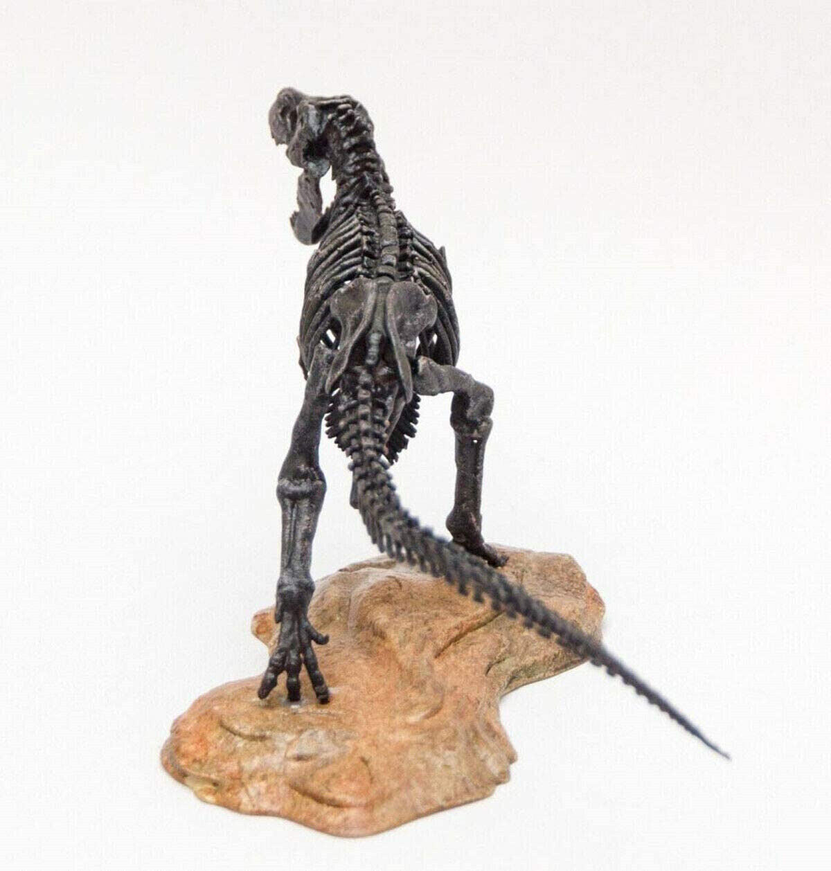 1/72 T-Rex Skeleton Model