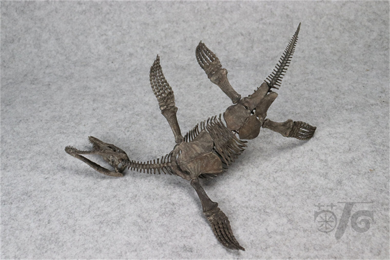 1/20 Pliosaurus Skeleton Model