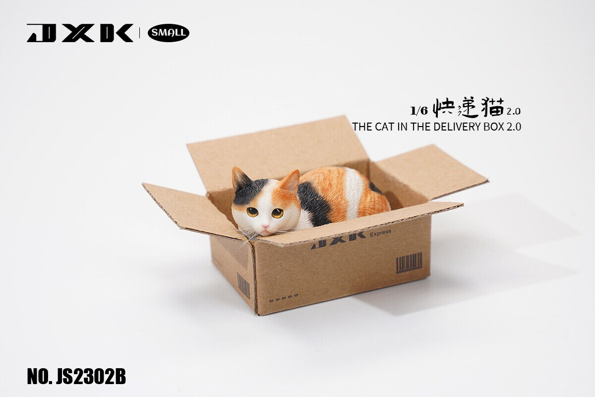 JXK Small The Cat In The Delivery Box 2.0 Model