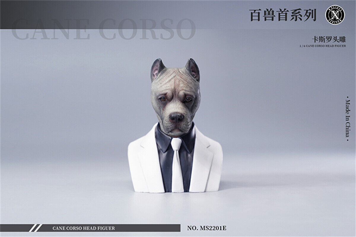 Mostoys 1/6 Cane Corso Head Figure