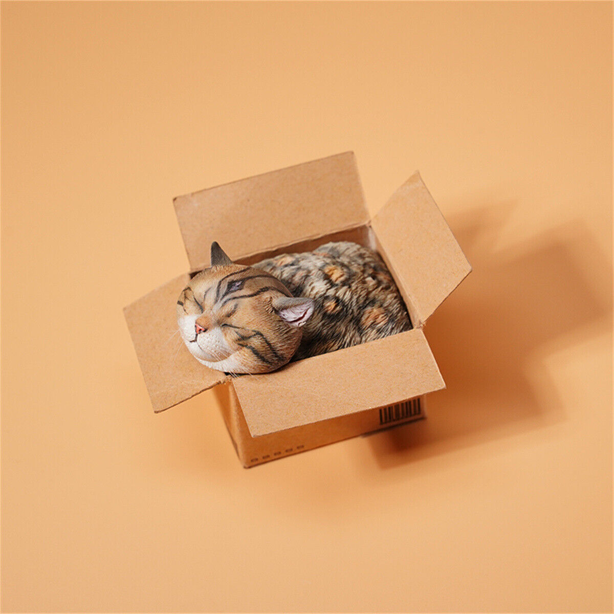 JXK The Cat In The Delivery Box Model