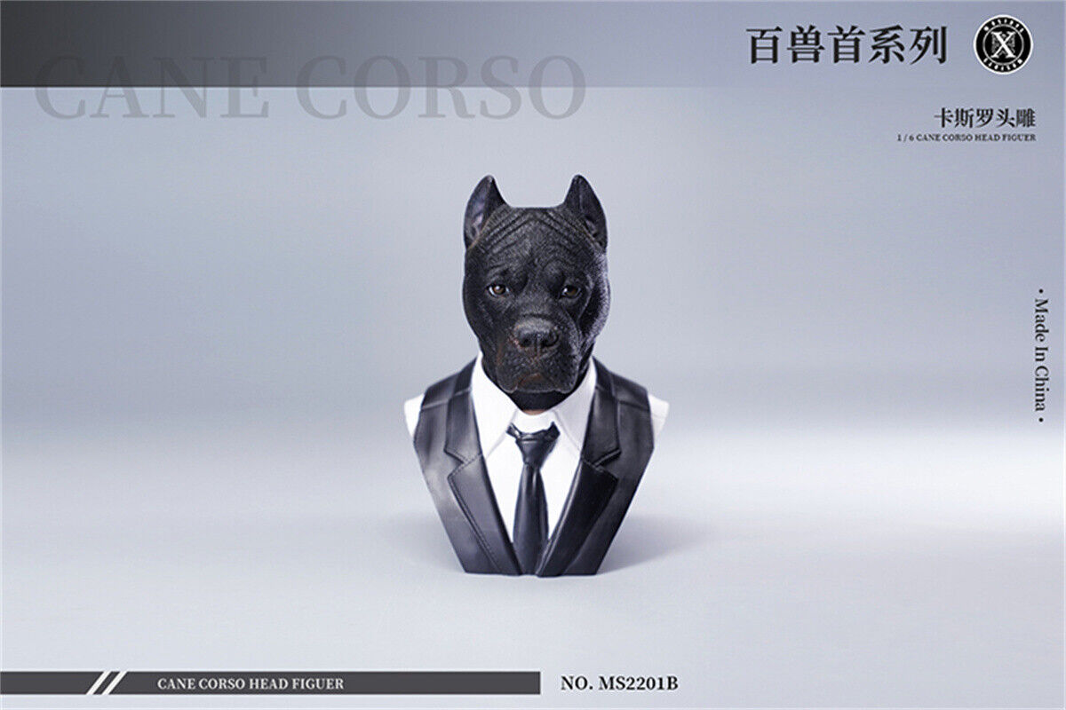 Mostoys 1/6 Cane Corso Head Figure