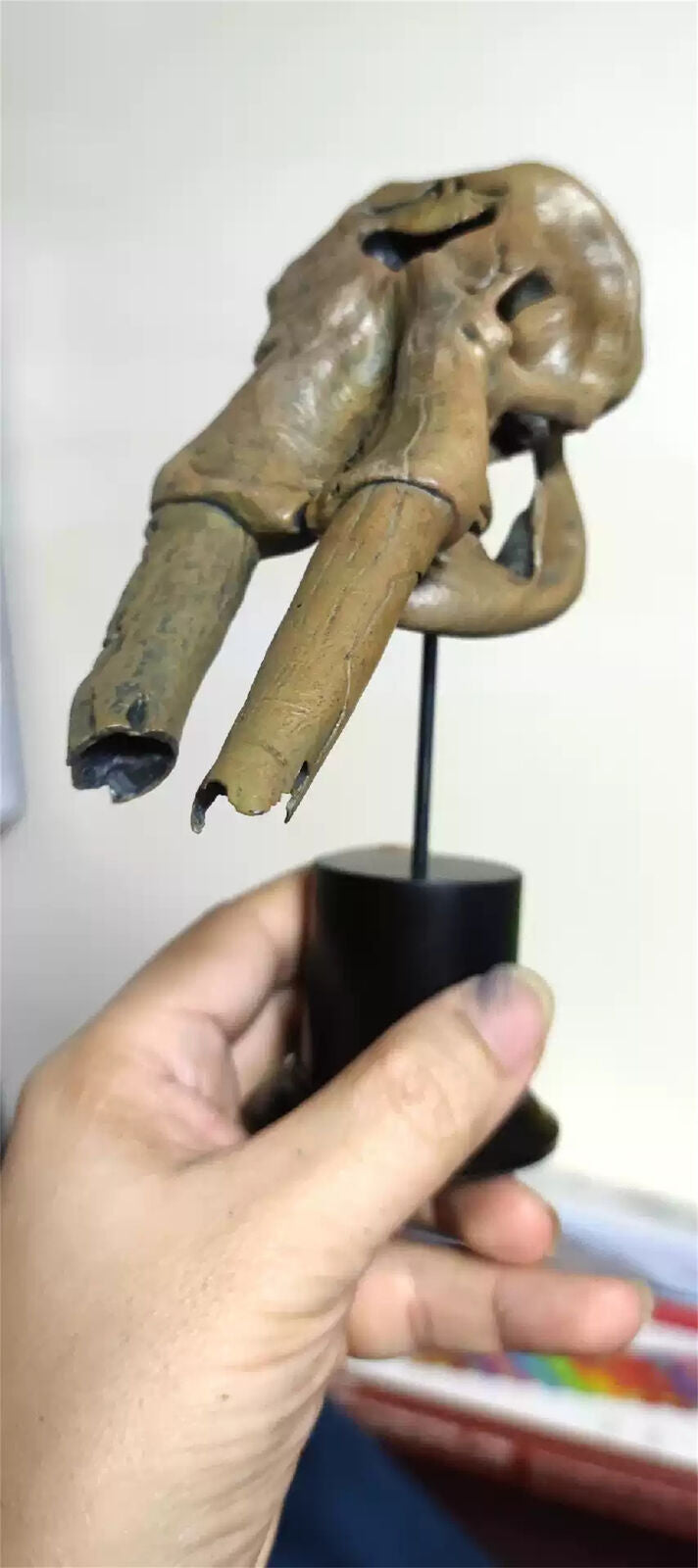 VWUVWU 1/20 Huanghe Flumen Stegodon Skull Model